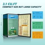 Compact 3.1 Cu.Ft Mini Fridge with Freezer