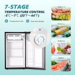 Compact 3.1 Cu.Ft Mini Fridge with Freezer
