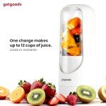 GATGOODS Cordless Portable Blender for Shakes & Smoothies