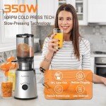 Cold Press Slow Masticating Juicer with 1.5L Capacity