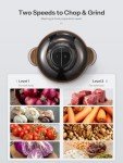 Reemix 12-Cup Food Processor with Dual Bowls