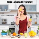 Stainless Steel Manual Citrus Lemon Squeezer