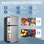 Rosmena 4.0 Cu.Ft Compact Refrigerator with Freezer