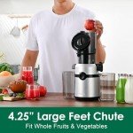 Fretta Nifty Cold Press Juicer with Wide Chute