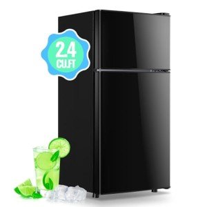 DEMULLER 2.4 Cu.Ft Mini Fridge with Freezer