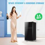 DEMULLER 2.4 Cu.Ft Mini Fridge with Freezer