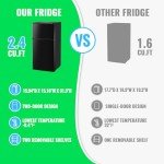 DEMULLER 2.4 Cu.Ft Mini Fridge with Freezer