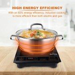 Duxtop 1800W Portable Induction Cooktop with Pot