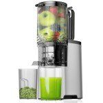 Slow Masticating Juicer with Wide Feed Chute
