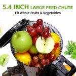 Slow Masticating Juicer with Wide Feed Chute