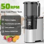 Slow Masticating Juicer with Wide Feed Chute