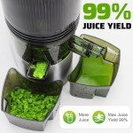 Slow Masticating Juicer with Wide Feed Chute