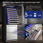 BODEGA 24-Inch Dual Zone Wine and Beverage Cooler