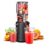 Easy Clean Slow Cold Press Juicer Machine