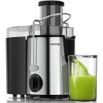 SiFENE Silver Juicer with Large 3” Feed Chute