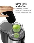 SiFENE Silver Juicer with Large 3” Feed Chute