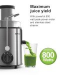 SiFENE Silver Juicer with Large 3” Feed Chute