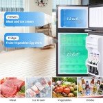Oditton Krib Bling Compact Refrigerator – Wood Grain