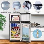 Anukis 3.8 Cu Ft Mini Refrigerator with Freezer