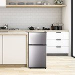Anukis 3.8 Cu Ft Mini Refrigerator with Freezer
