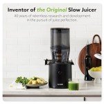 Hurom H320 Black Slow Juicer for Fruits & Veggies