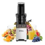 Whall Professional Masticating Slow Juicer - Gold