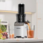 Whall Professional Masticating Slow Juicer - Gold