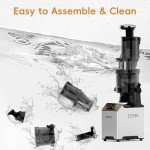 Whall Professional Masticating Slow Juicer - Gold