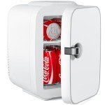 DUMOS 4L Portable Mini Fridge & Warmer