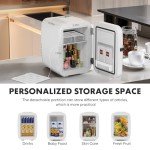 DUMOS 4L Portable Mini Fridge & Warmer