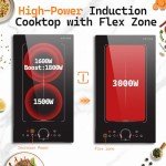 Noxton 2-Burner Induction Cooktop with Flex Zone