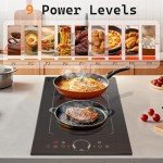 Noxton 2-Burner Induction Cooktop with Flex Zone
