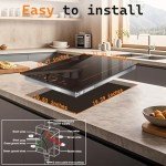 Noxton 2-Burner Induction Cooktop with Flex Zone