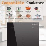 Noxton 2-Burner Induction Cooktop with Flex Zone