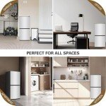Rosmena 5.6 Cu.Ft Double Door Refrigerator with Freezer