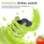 AMZCHEF Stainless Steel Slow Masticating Juicer