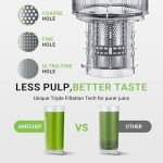 AMZCHEF Stainless Steel Slow Masticating Juicer