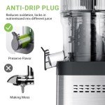 AMZCHEF Stainless Steel Slow Masticating Juicer
