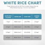 Aroma Digital Rice Cooker & Steamer with Ceramic Coating