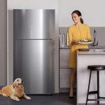 Stainless Steel 20 Cu. Ft. Top Freezer Refrigerator
