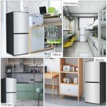 Zyerch 4.3 Cu. Ft. Compact Mini Fridge