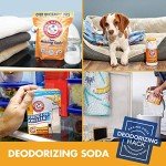 Arm & Hammer Refrigerator Air Filter – Odorless