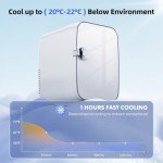 DUMOS 4L Retro Mini Fridge for Drinks and Skincare