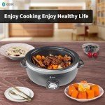 ICOOK 6.5 Quart Adjustable Slow Cooker with Glass Lid