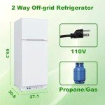 SMETA 13.4 cuft Dual Fuel Propane Refrigerator