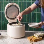 IRIS Electric Rice Cooker - 5-Cup Capacity