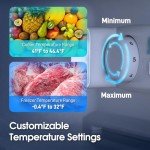 Anypro Mini Fridge with Bottom Freezer, 3.8 Cu.Ft