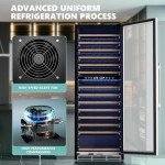 EUHOMY 24" Dual Zone Wine Cooler Refrigerator