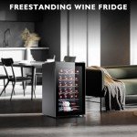 STAIGIS 24-Bottle Freestanding Wine Cooler Fridge