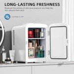 Electactic Portable Mini Fridge for Skincare & Beverages